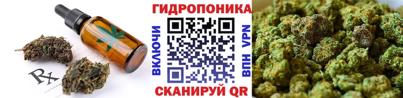 KRAKEN зеркало  что такое   Глазов  shop как зайти  Еда ТГК конопля 