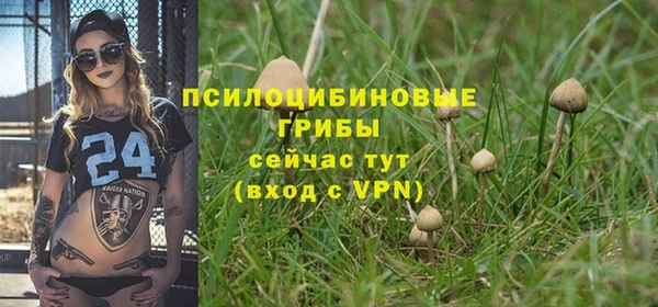 сатива Алзамай