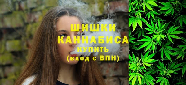 сатива Алзамай