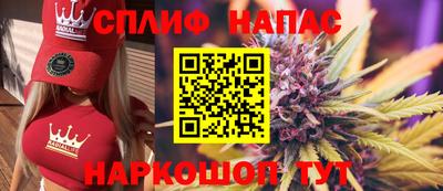 мдпв Обнинск