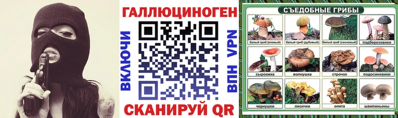 Псилоцибиновые грибы Psilocybe  ссылка на мегу ссылки  Глазов 