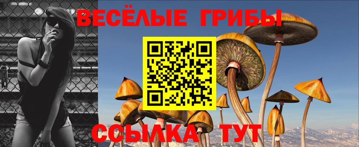 Галлюциногенные грибы GOLDEN TEACHER Глазов