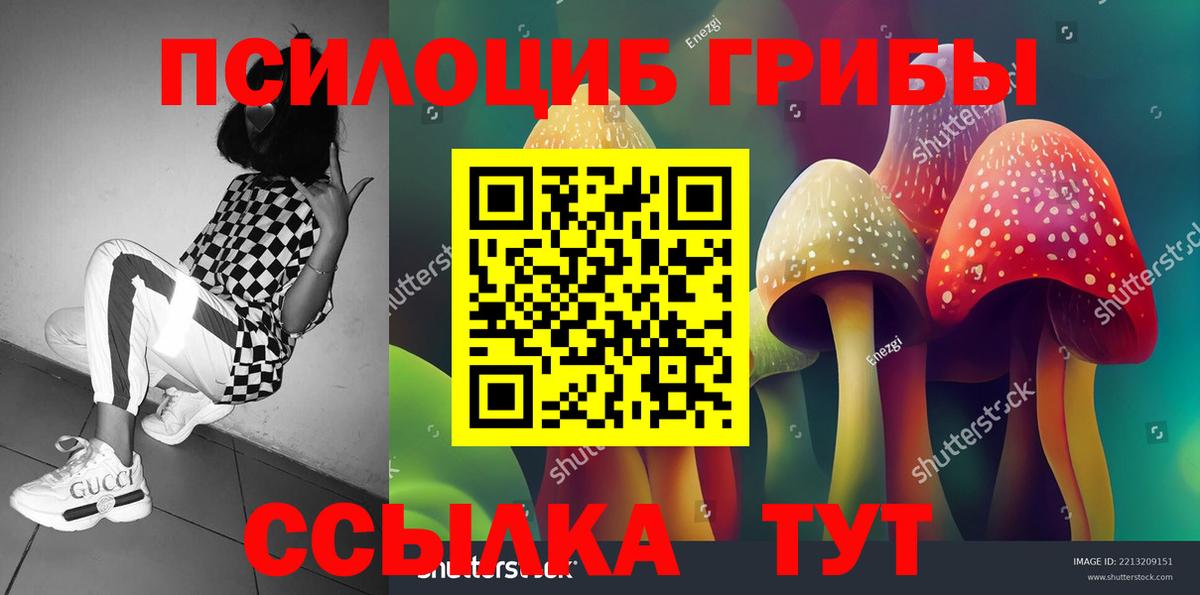 Псилоцибиновые грибы ЛСД  Вход с VPN  наркотики  Глазов 